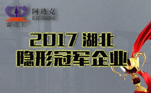 恭祝我司入選湖北省首批支柱產(chǎn)業(yè)細分領(lǐng)域隱形冠軍培育企業(yè)